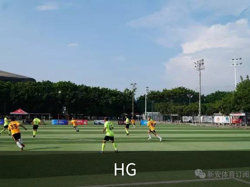 HG概况